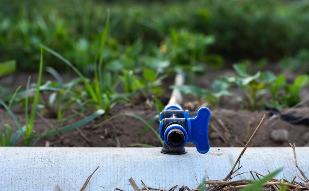 drip-irrigation-system