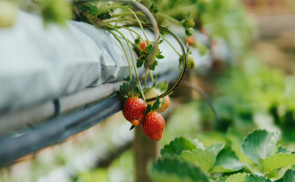Sustavi za navodnjavanje