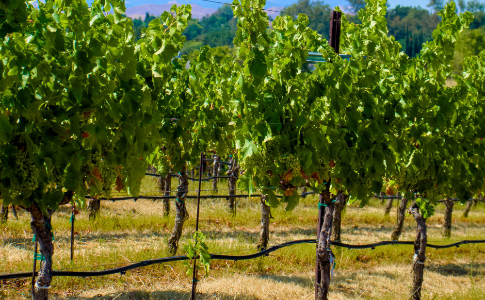 Sustavi za navodnjavanje