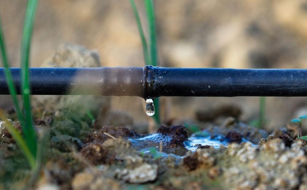 drip-irrigation-system-for-saving-water